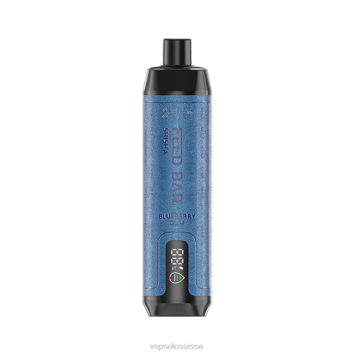VapSolo Pods - gomme de myrtille VapSolo SHISHA vape jetable D6424