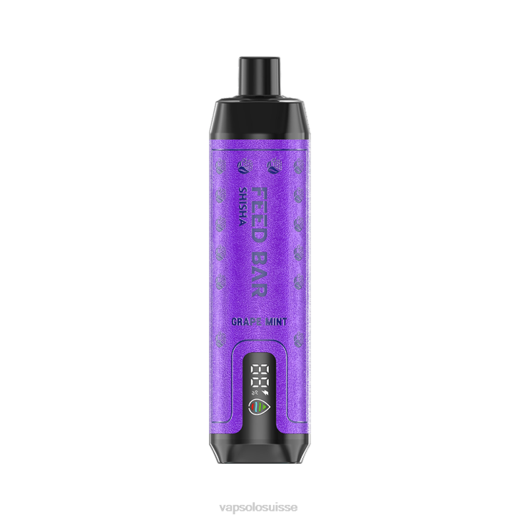 VapSolo Prix - menthe raisin VapSolo SHISHA vape jetable D6426