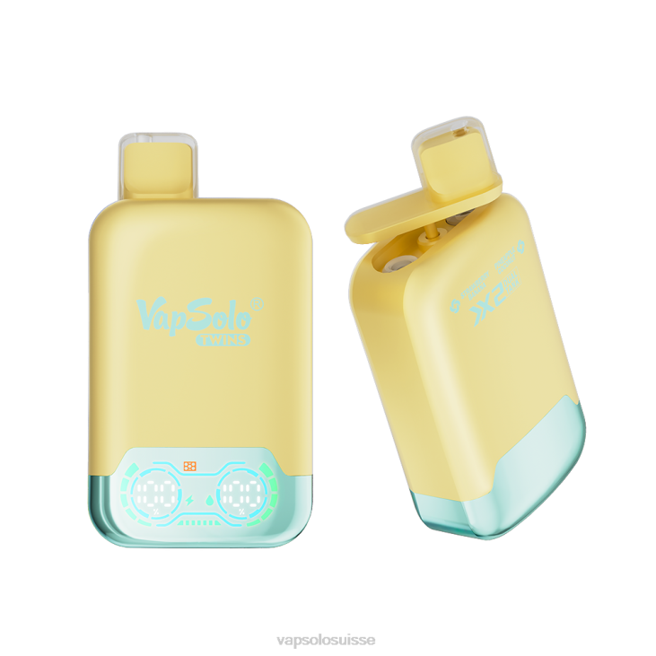 VapSolo Avis - ananas noix de coco & fraise banane VapSolo TWINS vape jetable D64231